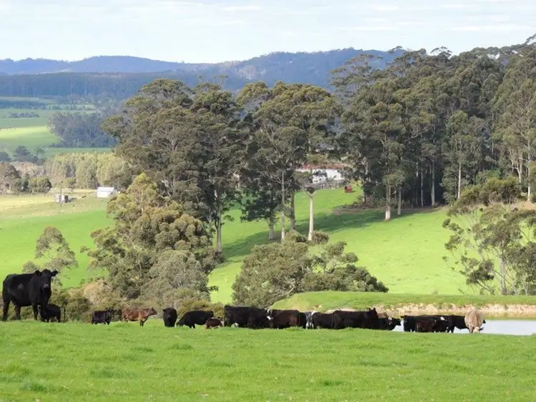 74 Nekel Road, Denmark WA 6333