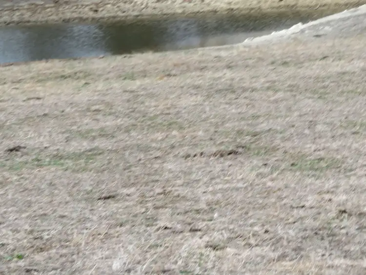 Sixth view of Homely land listing, 636 Maclean Close, Mount Barker WA 6324