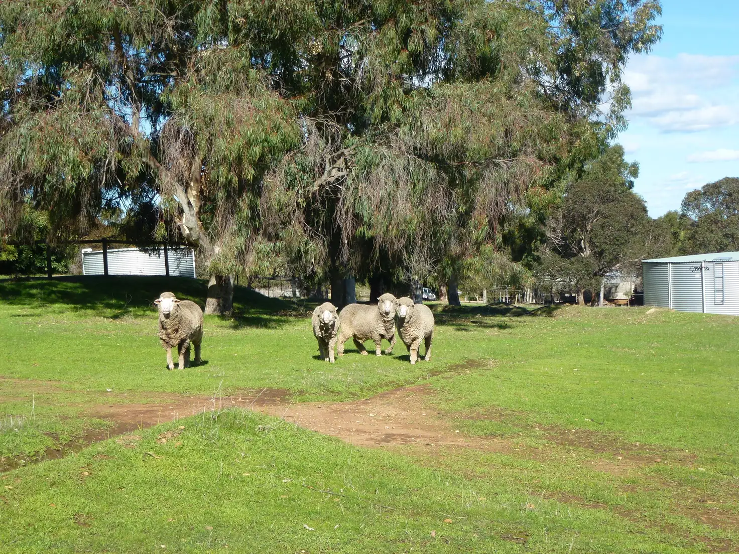 Main view of Homely house listing, 75 Fraser Road, Bullsbrook WA 6084