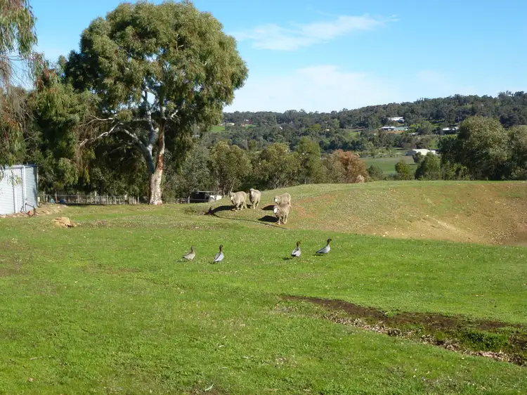 Fifth view of Homely house listing, 75 Fraser Road, Bullsbrook WA 6084