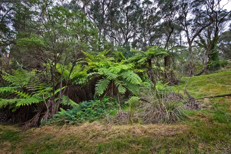 Seventh view of Homely land listing, 6 Russell Street, Katoomba NSW 2780