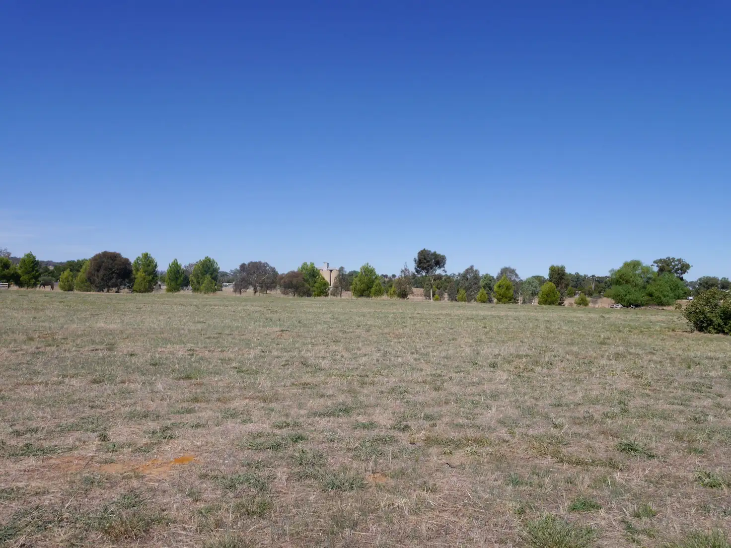 Main view of Homely land listing, 1 Rileys Road, Billimari NSW 2804