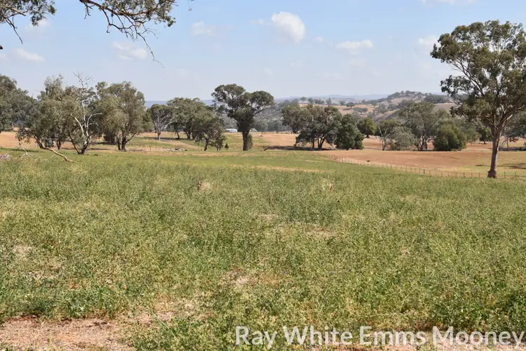 Sixth view of Homely rural property listing, Address available on request