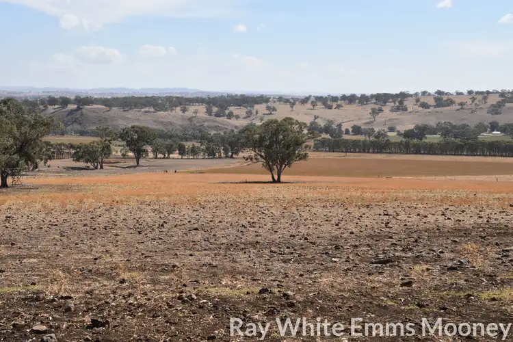 Seventh view of Homely rural property listing, Address available on request