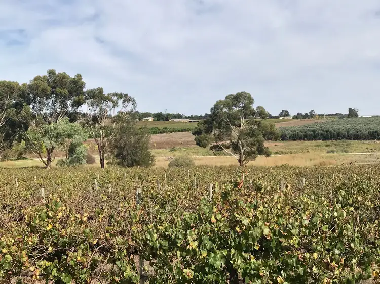 Second view of Homely land listing, Lot 61 Billabong Road, Mypolonga SA 5254