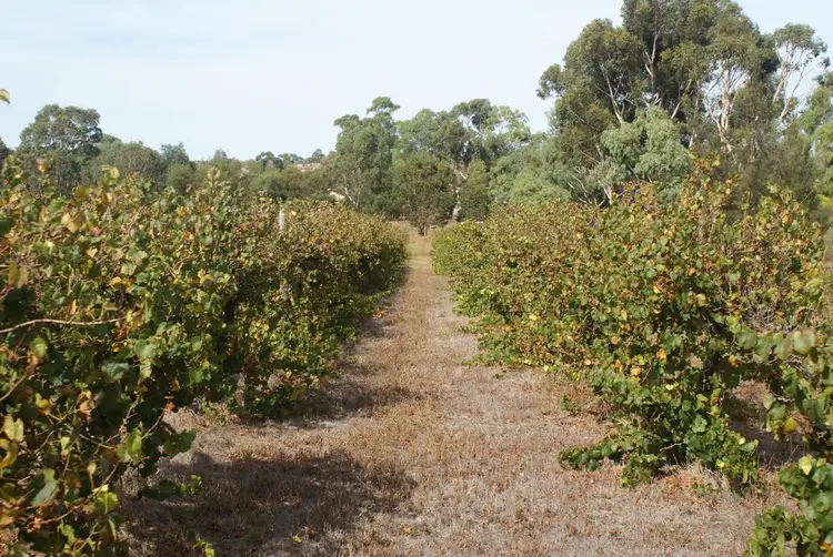 Third view of Homely land listing, Lot 61 Billabong Road, Mypolonga SA 5254