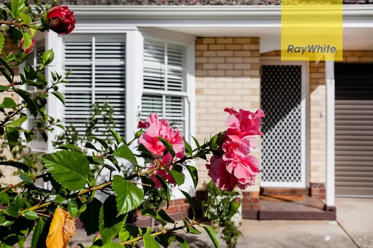 Third view of Homely unit listing, 4/34 High Street, Burnside SA 5066