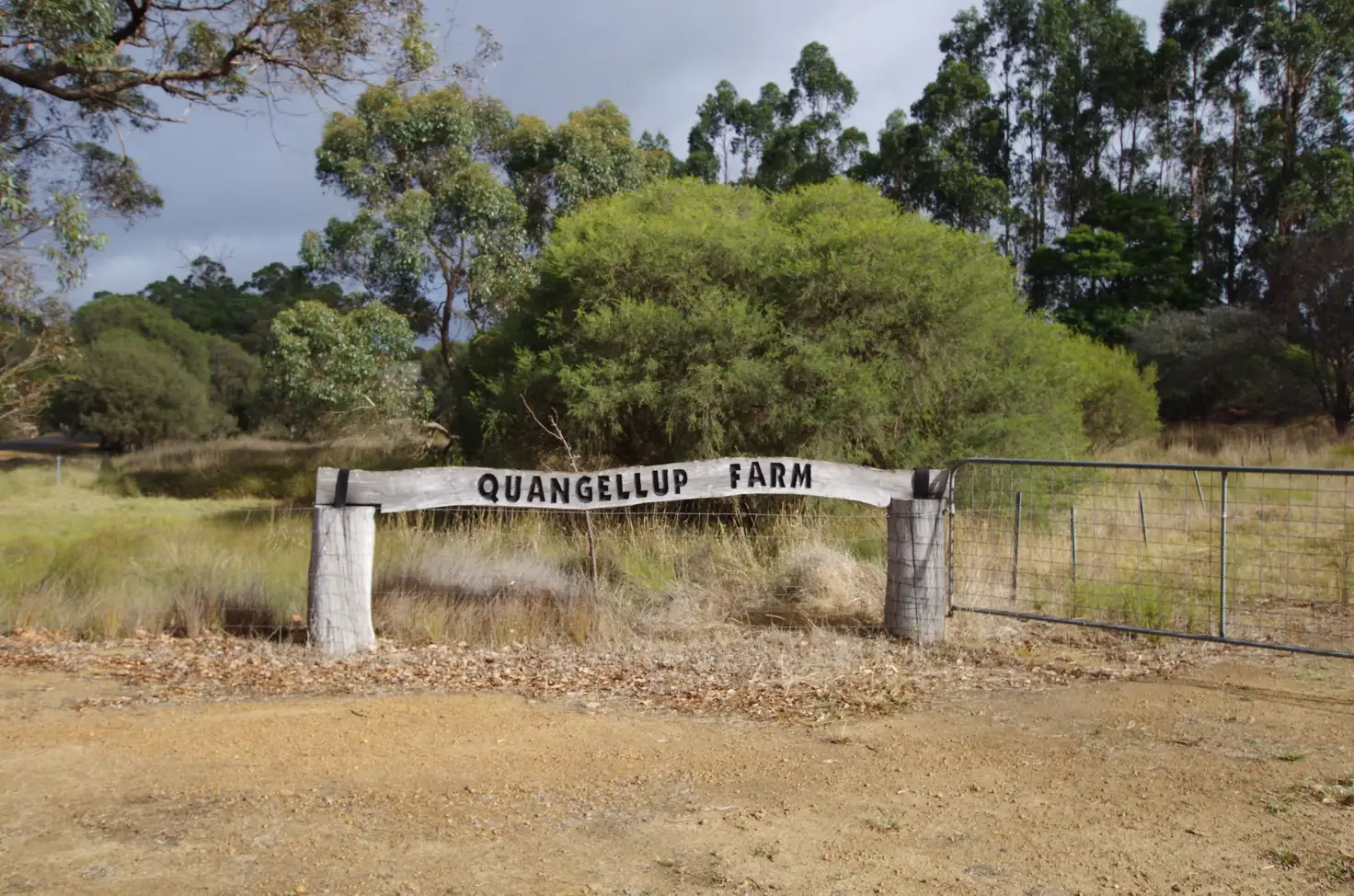 Main view of Homely rural property listing, 362 Quangellup Road, Mount Barker WA 6324