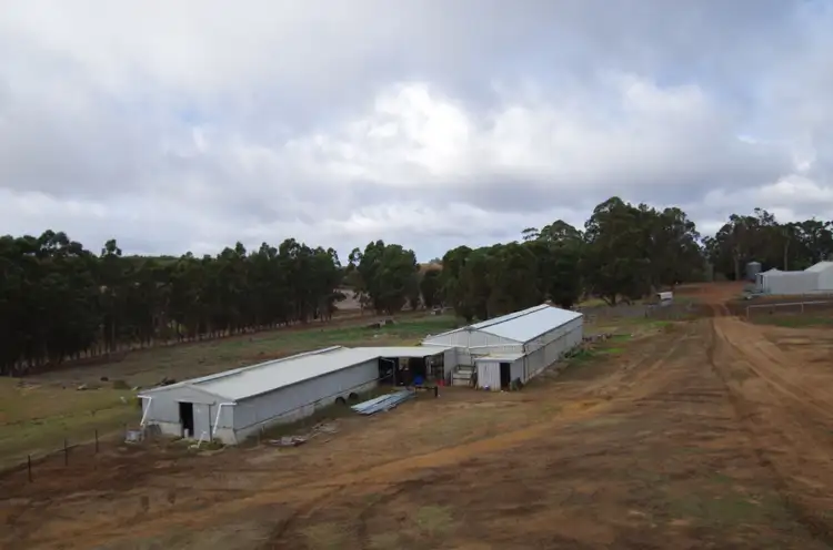 Fifth view of Homely rural property listing, 362 Quangellup Road, Mount Barker WA 6324