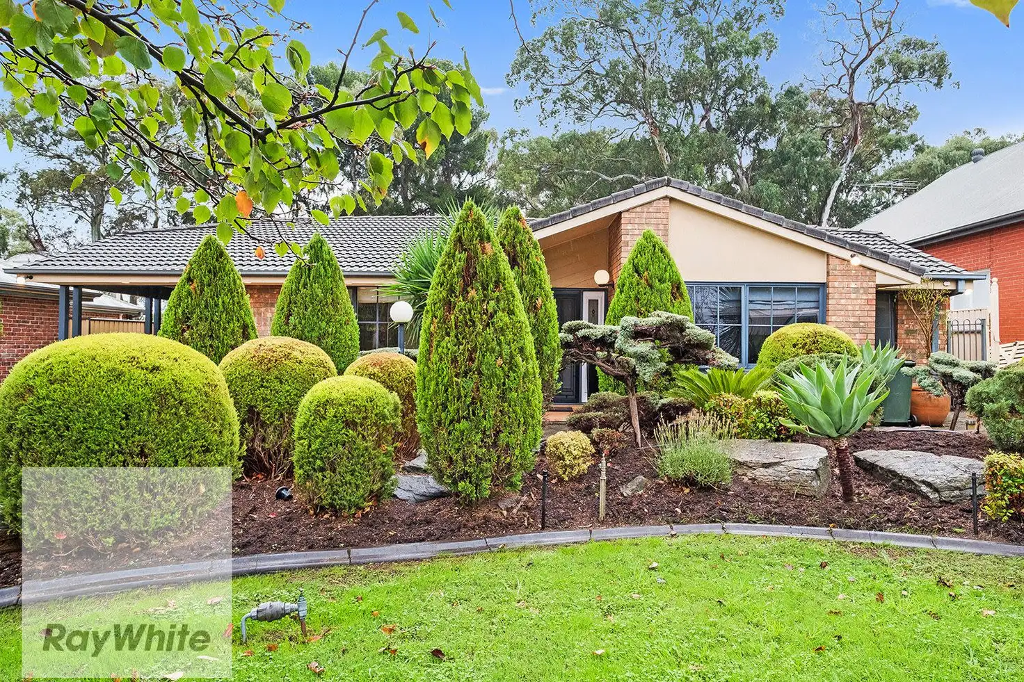 Main view of Homely house listing, 41 Watson Street, Hectorville SA 5073