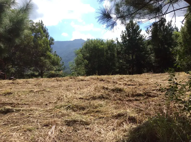 Second view of Homely rural property listing, 50 Eaglehawk Close, Tyalgum NSW 2484