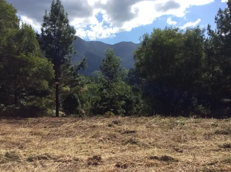 Fourth view of Homely rural property listing, 50 Eaglehawk Close, Tyalgum NSW 2484