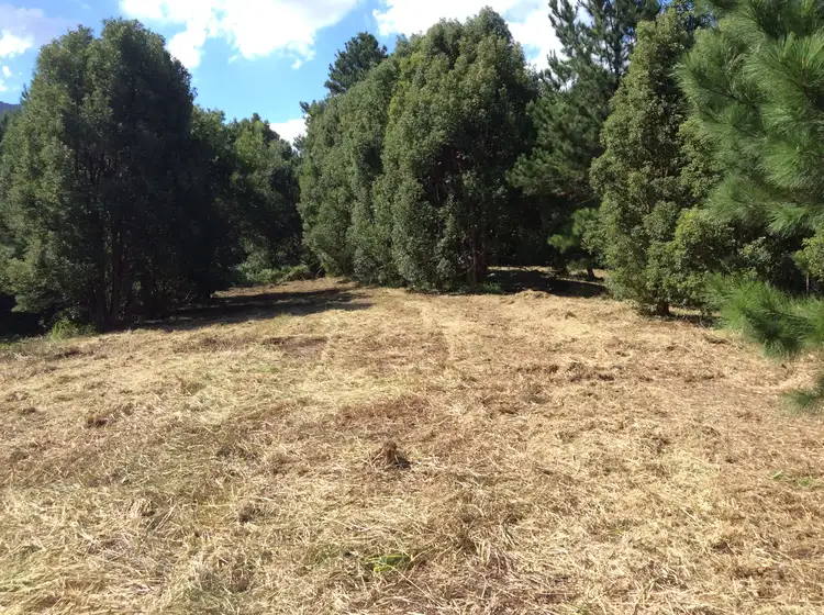 Fifth view of Homely rural property listing, 50 Eaglehawk Close, Tyalgum NSW 2484