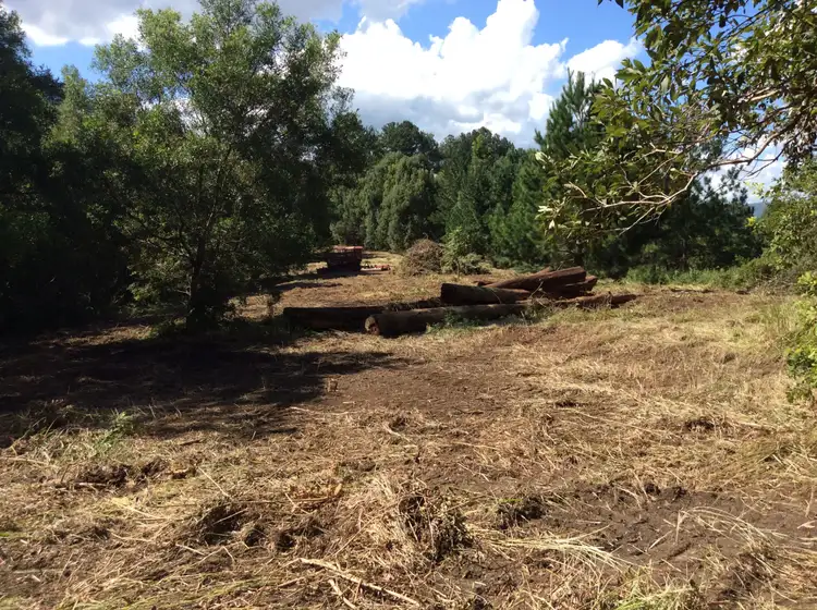 Sixth view of Homely rural property listing, 50 Eaglehawk Close, Tyalgum NSW 2484