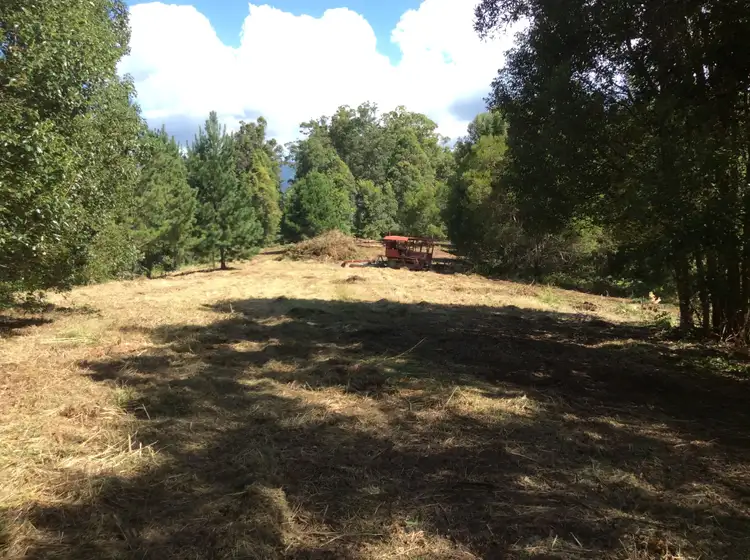 Seventh view of Homely rural property listing, 50 Eaglehawk Close, Tyalgum NSW 2484