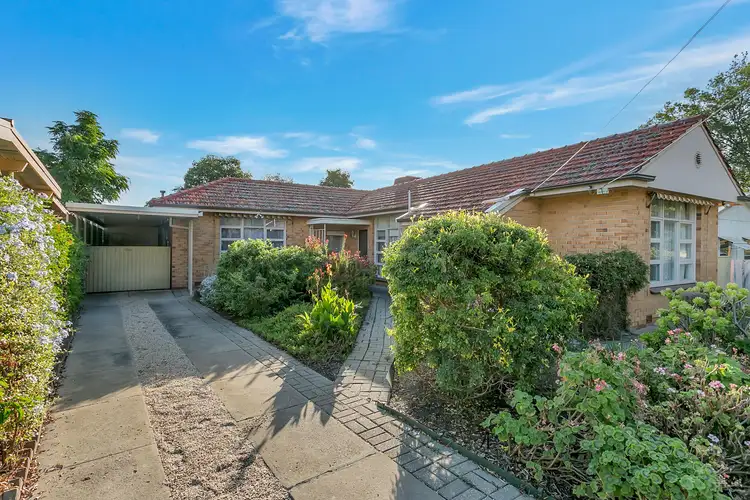 52 Magdalene Terrace, Pasadena SA 5042