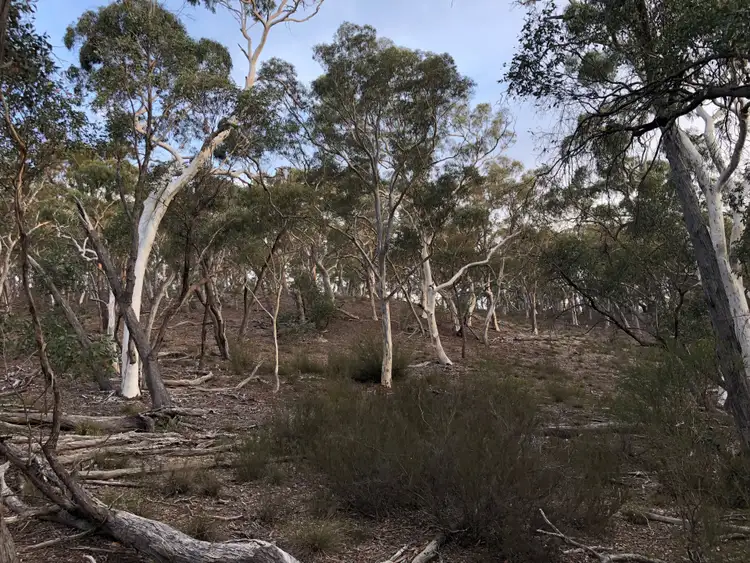 Second view of Homely rural property listing, 15 Stewarts Crossing Road, Braidwood NSW 2622