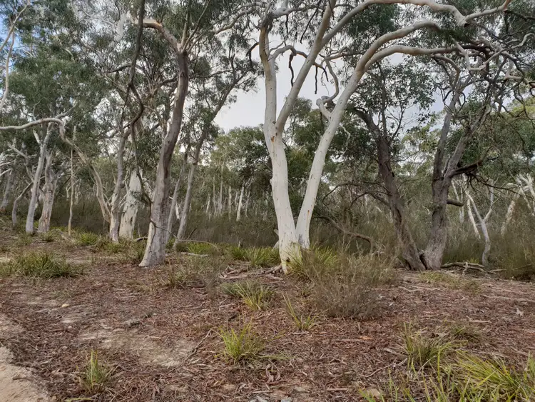 Third view of Homely rural property listing, 15 Stewarts Crossing Road, Braidwood NSW 2622