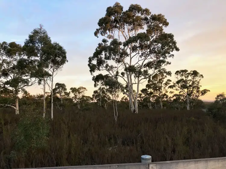 Fourth view of Homely rural property listing, 15 Stewarts Crossing Road, Braidwood NSW 2622