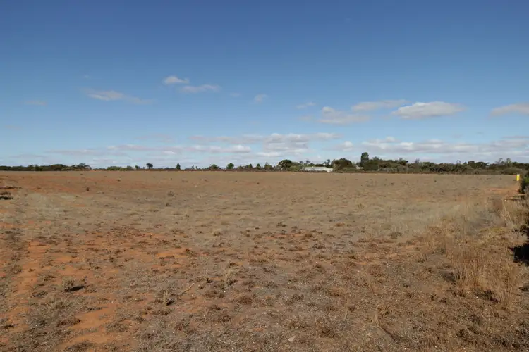 Main view of Homely land listing, Lot 51 Von Bertouch Road, Winkie SA 5343