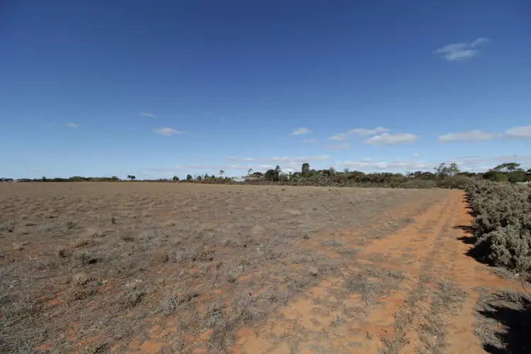 Seventh view of Homely land listing, Lot 51 Von Bertouch Road, Winkie SA 5343