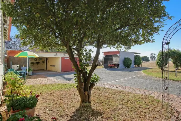 Fifth view of Homely rural property listing, 101 Munro Street, Culcairn NSW 2660