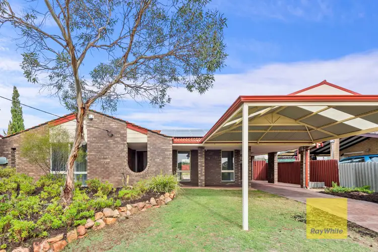 Main view of Homely house listing, 108 Craigie Drive, Craigie WA 6025