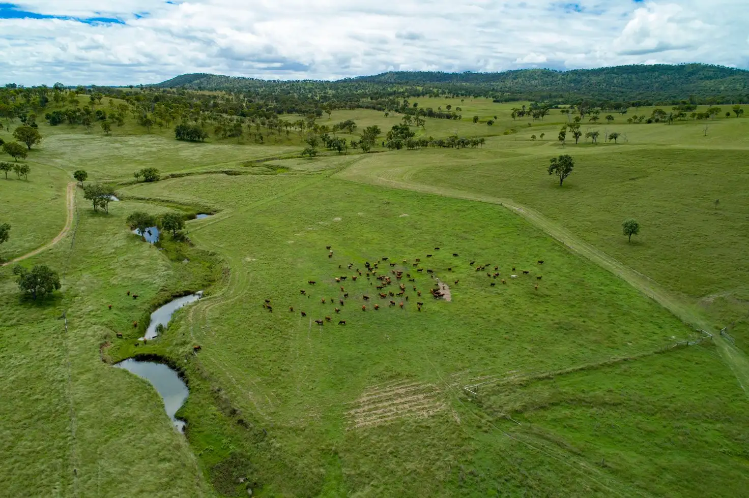 Main view of Homely rural property listing, Jacaranda Park Burnett Highway, Nanango QLD 4615