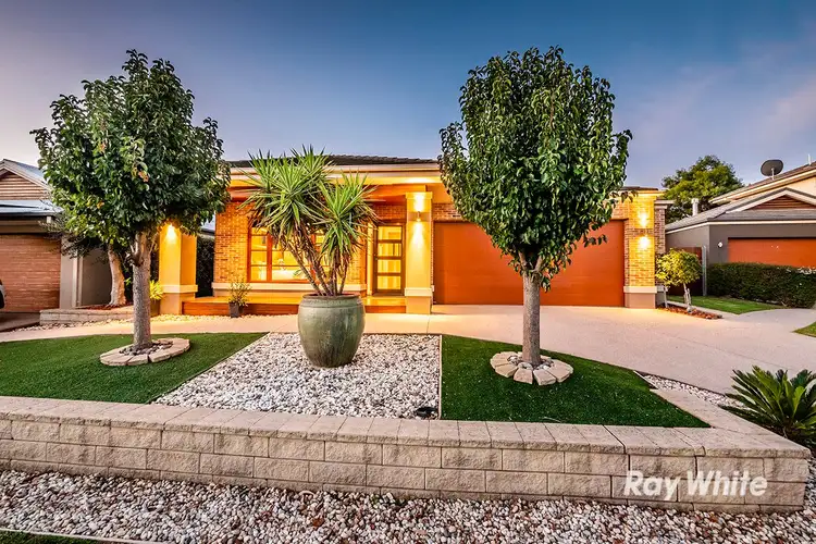 15 Wild Sage Court, Lyndhurst VIC 3975