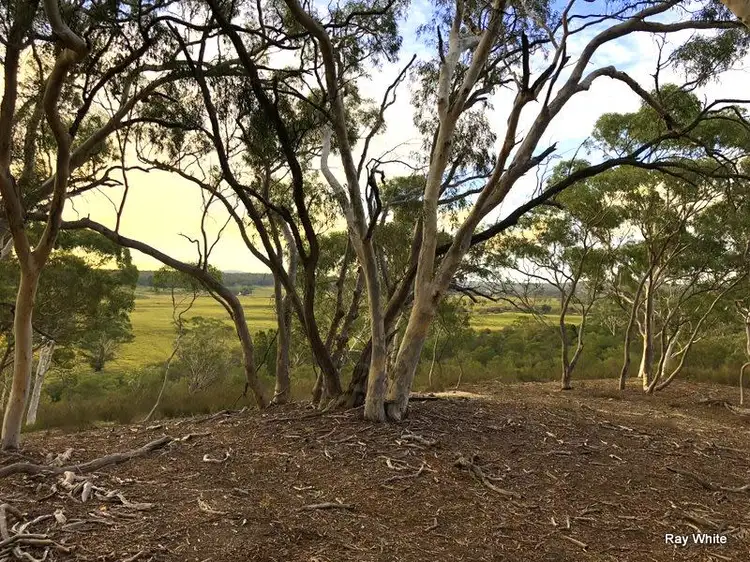 Main view of Homely rural property listing, 50 Stewarts Crossing Road, Braidwood NSW 2622