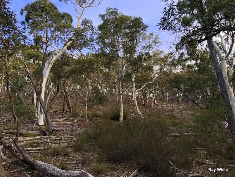 Third view of Homely rural property listing, 50 Stewarts Crossing Road, Braidwood NSW 2622