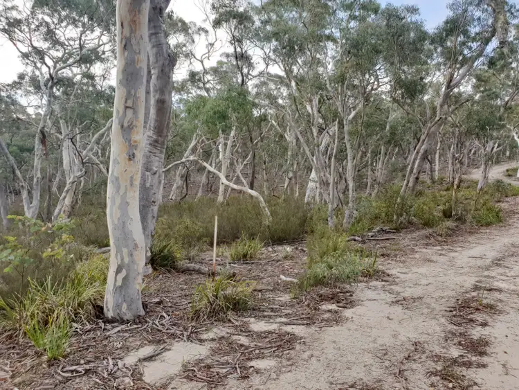 Fourth view of Homely rural property listing, 68 Stewarts Crossing Road, Braidwood NSW 2622
