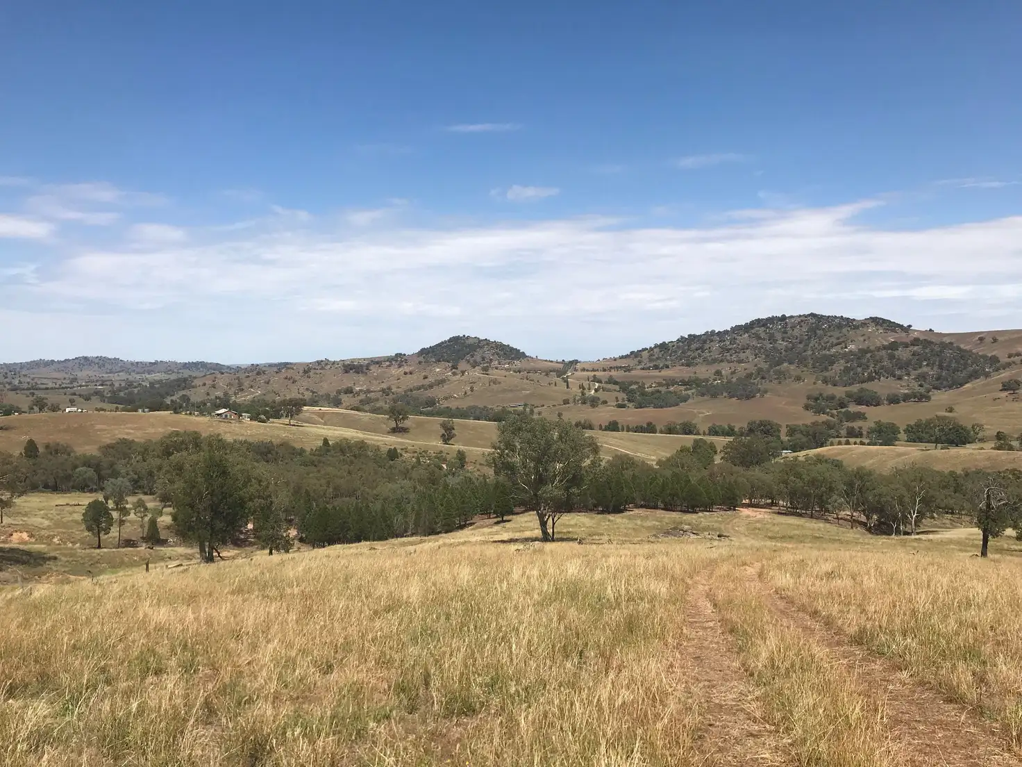Main view of Homely rural property listing, 477/1 Mount McDonald Road, Cowra NSW 2794