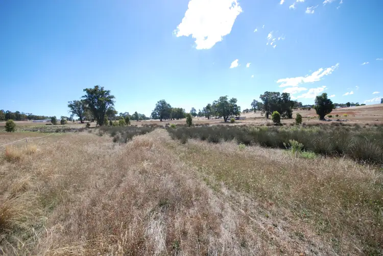 Seventh view of Homely rural property listing, 11 Mellows Road, Wandering WA 6308