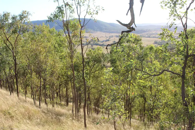 Fifth view of Homely rural property listing, 86 Godber Road, Cinnabar QLD 4600