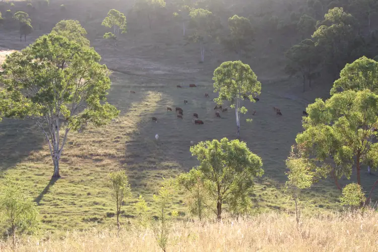 Sixth view of Homely rural property listing, 86 Godber Road, Cinnabar QLD 4600