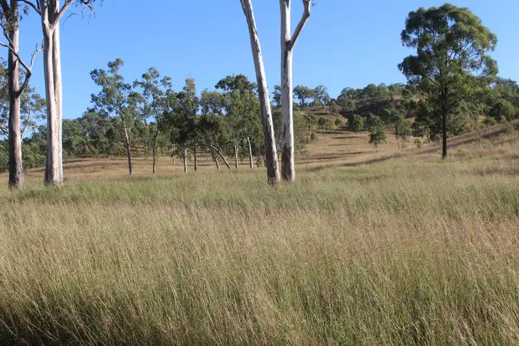 Seventh view of Homely rural property listing, 86 Godber Road, Cinnabar QLD 4600
