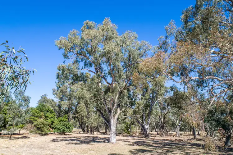 Main view of Homely land listing, 15-17 Kiernan Street, Longwood VIC 3665