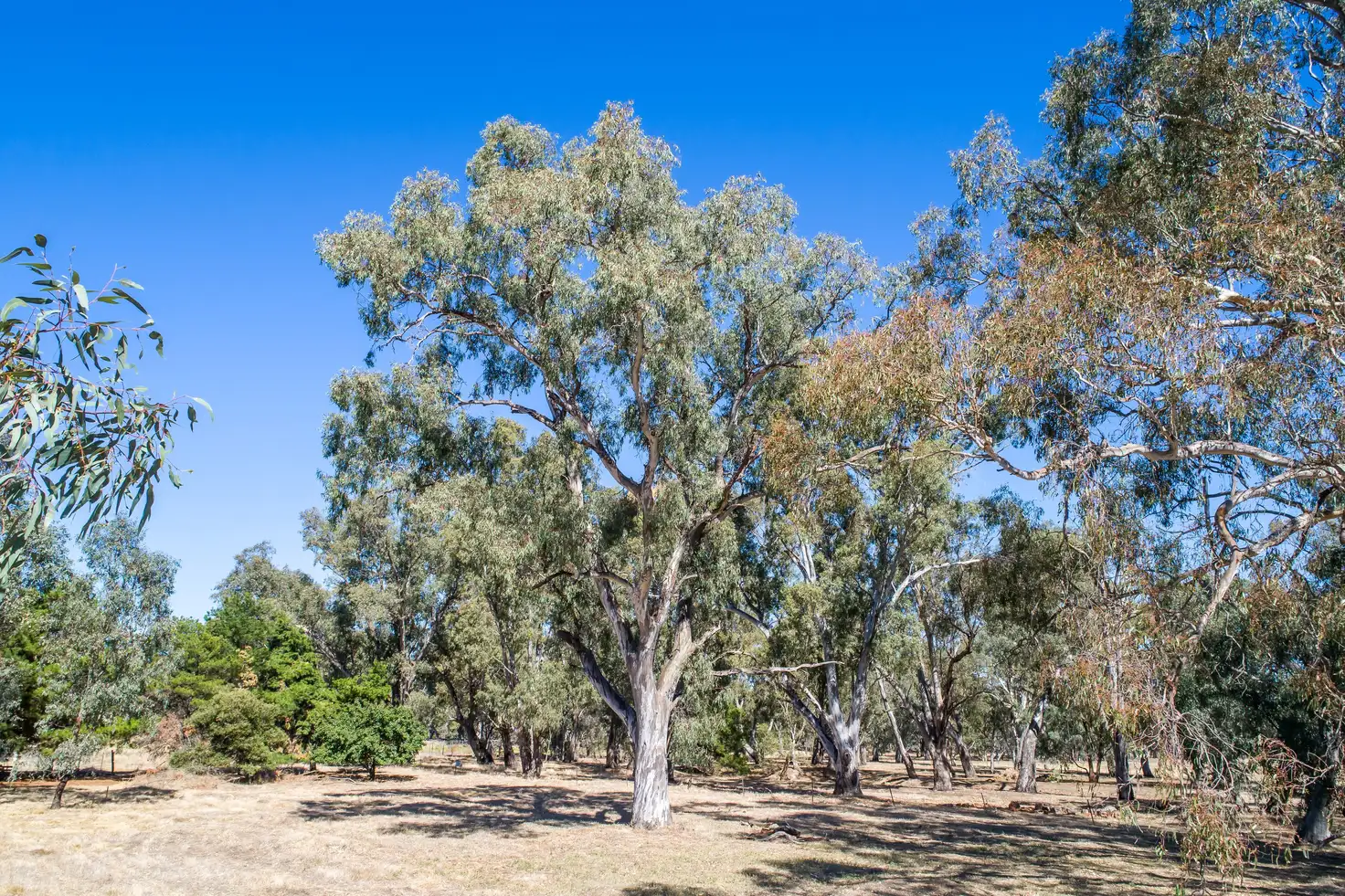 Main view of Homely land listing, 15-17 Kiernan Street, Longwood VIC 3665