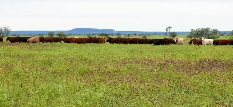 Second view of Homely rural property listing, 0 Terrick Road, Blackall QLD 4472