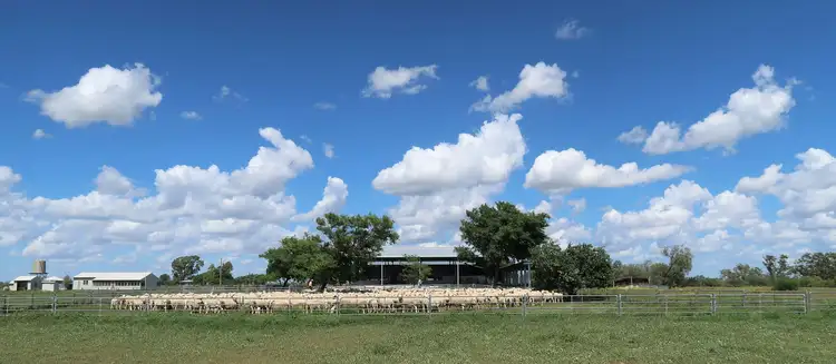 Sixth view of Homely rural property listing, 0 Terrick Road, Blackall QLD 4472