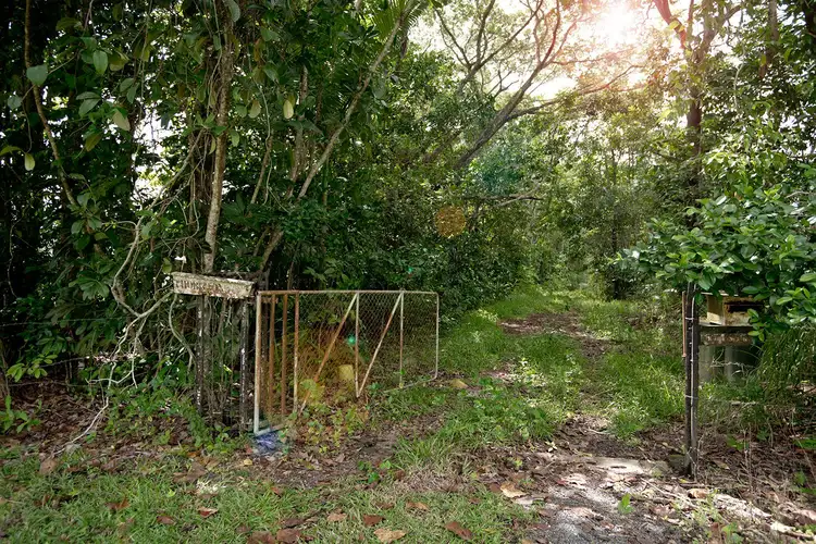 Main view of Homely land listing, 3390 Mossman Daintree Road, Daintree QLD 4873