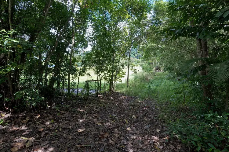Fourth view of Homely land listing, 3390 Mossman Daintree Road, Daintree QLD 4873