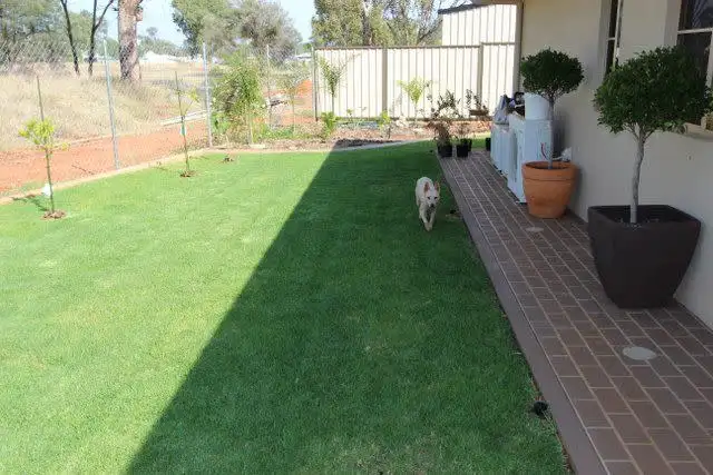 Seventh view of Homely house listing, 16 Delta Court, Charleville QLD 4470