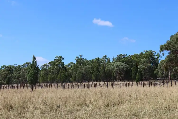 Fifth view of Homely rural property listing, Lot 2 12560 Gwydir Highway, Warialda NSW 2402