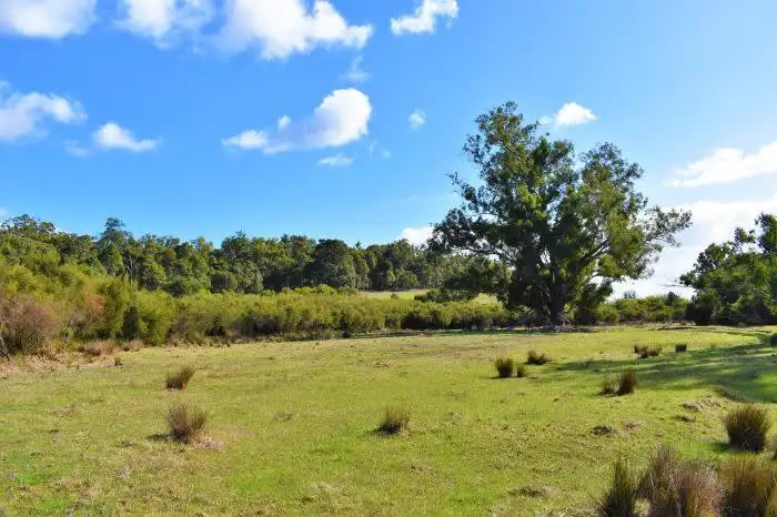 Fourth view of Homely rural property listing, Address available on request