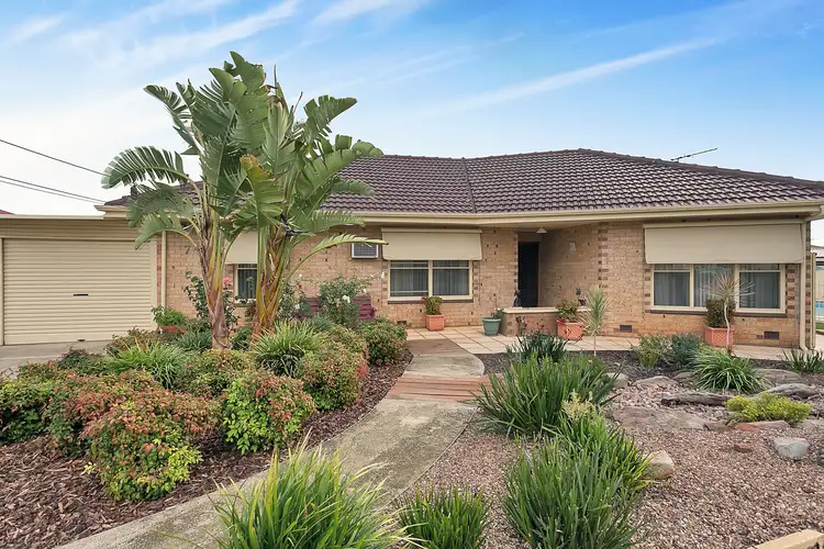 Main view of Homely house listing, 7 Lynne Court, Marion SA 5043