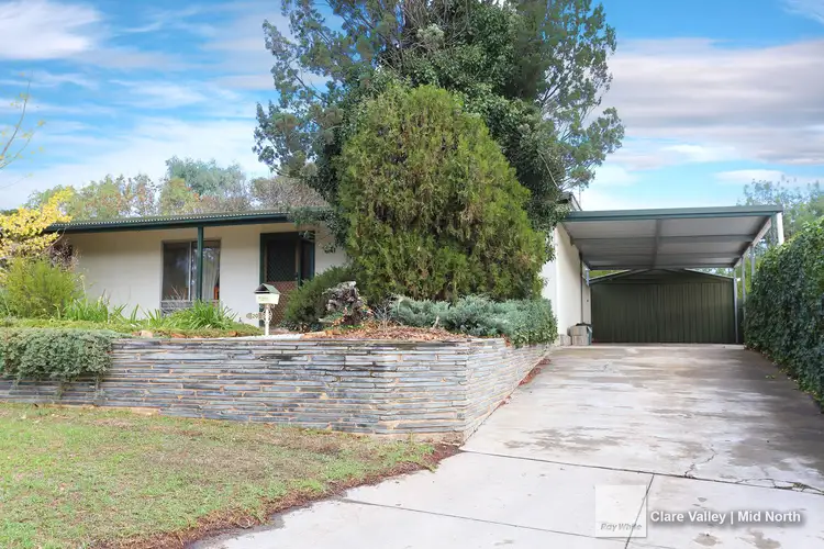 20 Geddes Avenue, Clare SA 5453