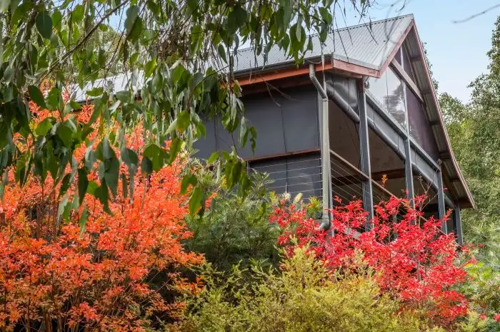 Sixth view of Homely rural property listing, Lot 10 Denny Road, Nannup WA 6275