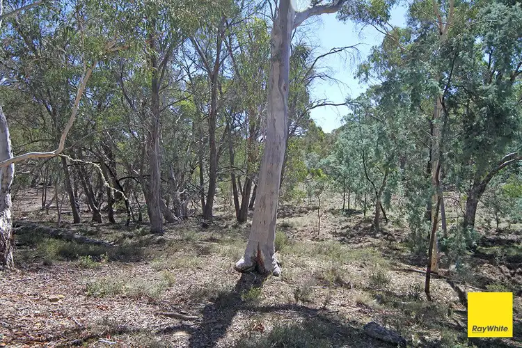 Sixth view of Homely land listing, 200 Neils Creek Road, Bungendore NSW 2621